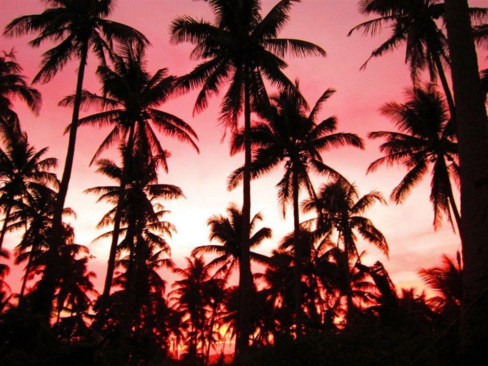 Balay De La Rama Bed & Breakfast Legazpi Eksteriør billede