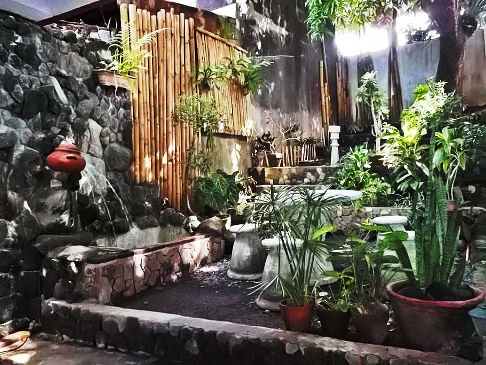 Balay De La Rama Bed & Breakfast Legazpi Eksteriør billede